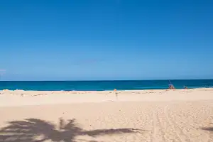 Oahu Sightseeing & Snorkel Tour