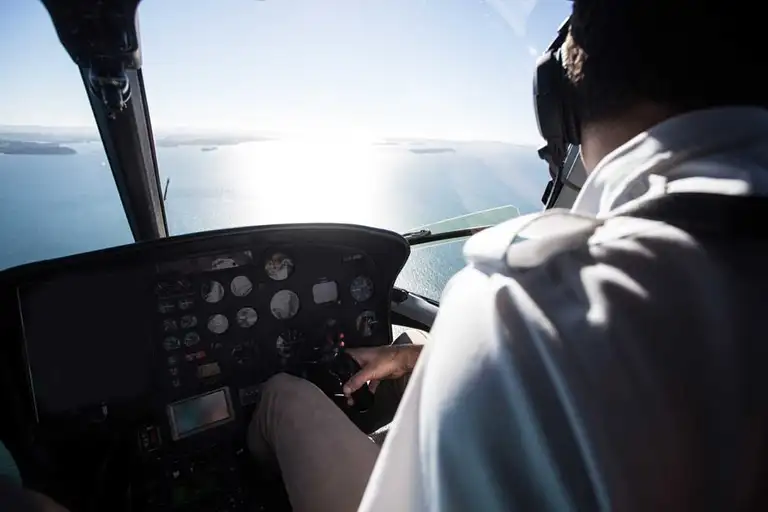 Auckland City & Volcanoes Scenic Helicopter Flight