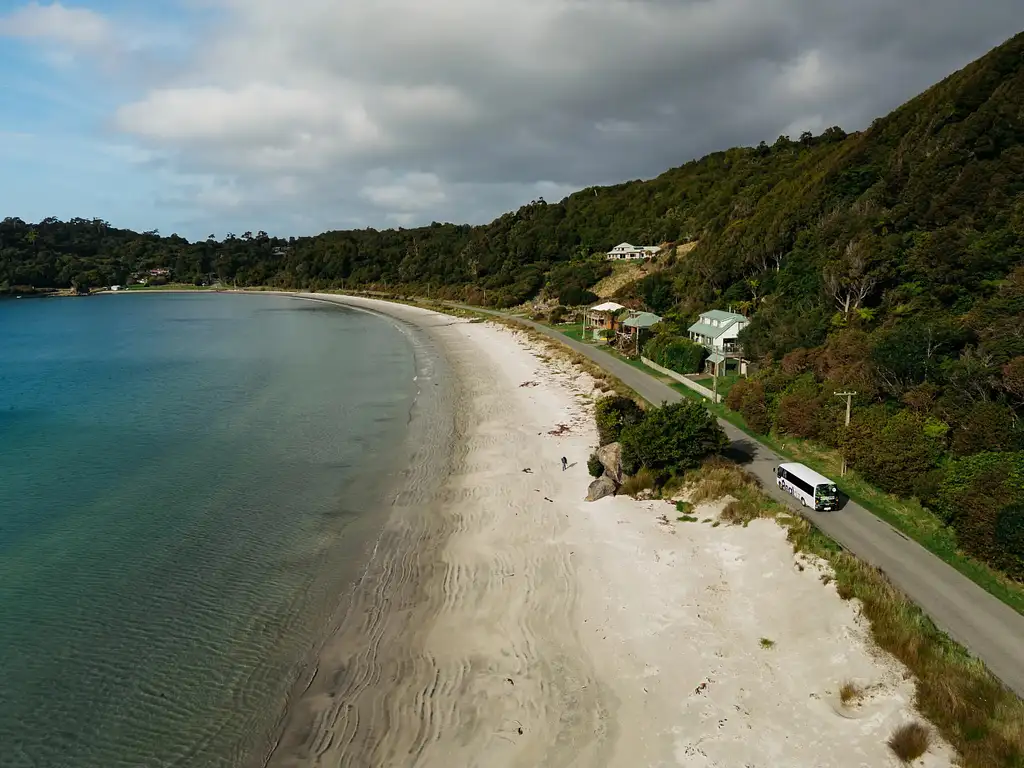 Rakiura in a Day - Birds and Bays
