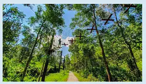 Full-day Guided Tour from Hue: Adventure with the Zipline and High Wire