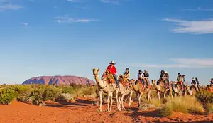 Camel Express Uluru