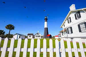 Tybee Island Dolphin Watching Boat Cruise Experience