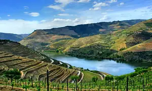 Douro Full Day Tour