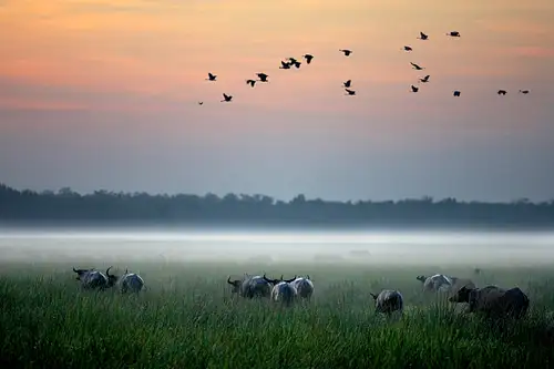 Kakadu National Park Night Tour