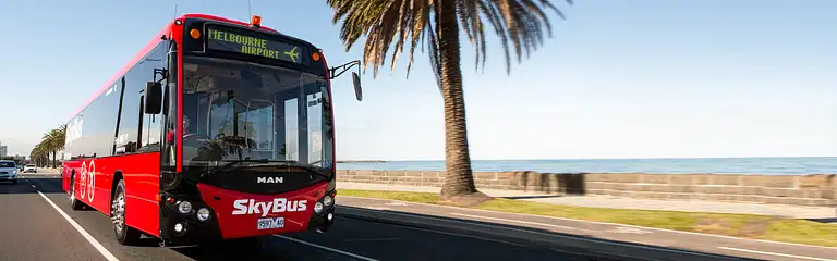 BOOK TOURS, ACTIVITIES & THINGS TO DO!