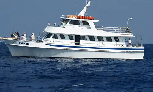 Miami Deep Sea Sport Fishing Experience