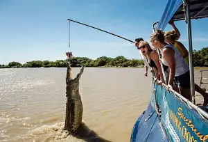 Adelaide River Jumping Crocodile Cruise Tourism NT-Shaana McNaught 125868-56.jpg