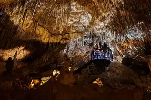 Ngilgi Cave Ancient Lands Experience
