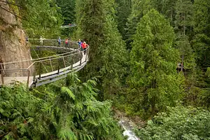 Grouse Mountain & Capilano Suspension Bridge Guided Day Tour from Vancouver