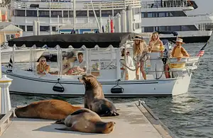 Private Electric Boat Sunset Experience LA