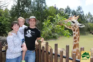 VIP Australia Zoo Tour | Be an Aussie for a Day Tour Experience