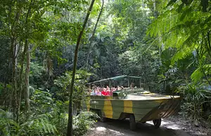 rainforestation and kuranda village tours