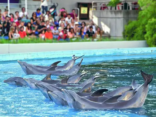 Zoo Aquarium Madrid Entrance Tickets